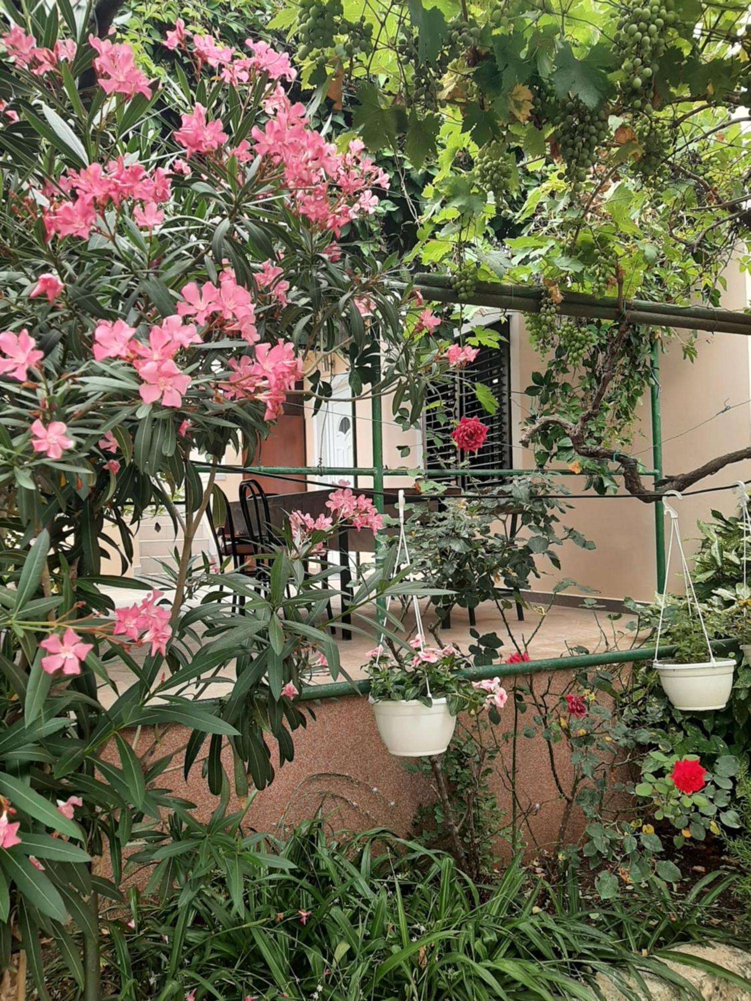 Apartmani Marija Povljana Room photo